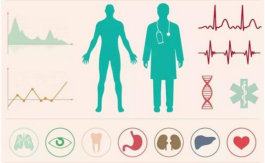 人们身体各器官的“保质期”